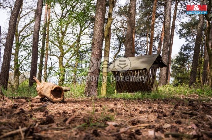 Prodej, Les, Borohrádek