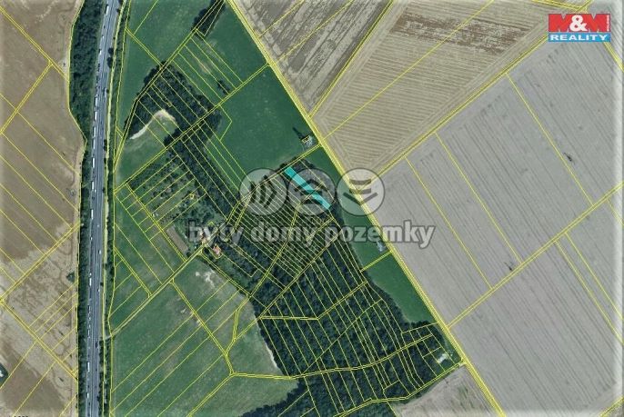 Prodej, Les, Držovice