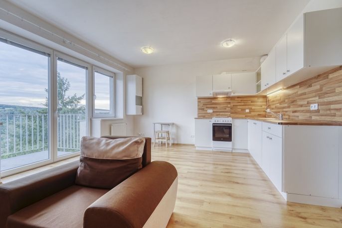 Pronájem, Byt 1+kk, Plasy