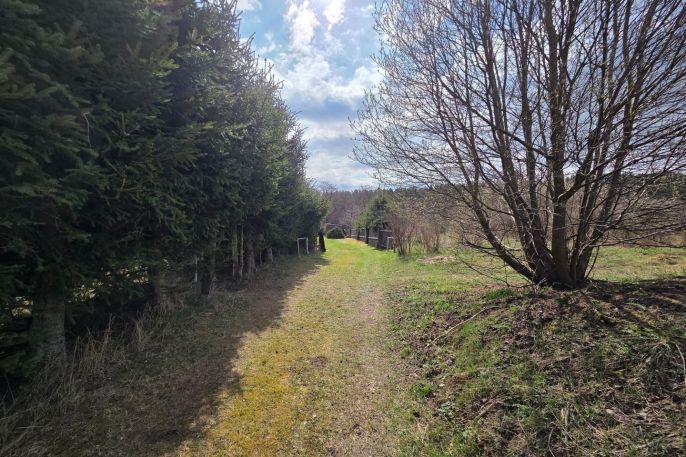 Pronájem, Chata, Nejdek