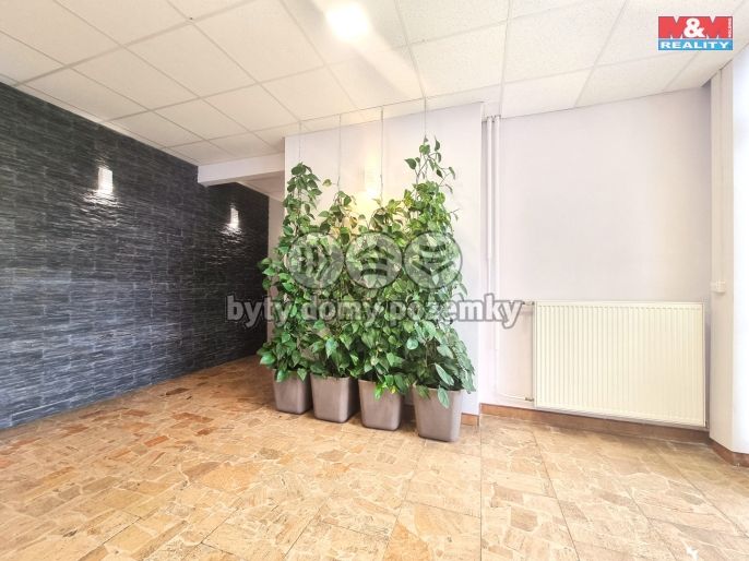 Pronájem, Kancelářský prostor, Hodonín