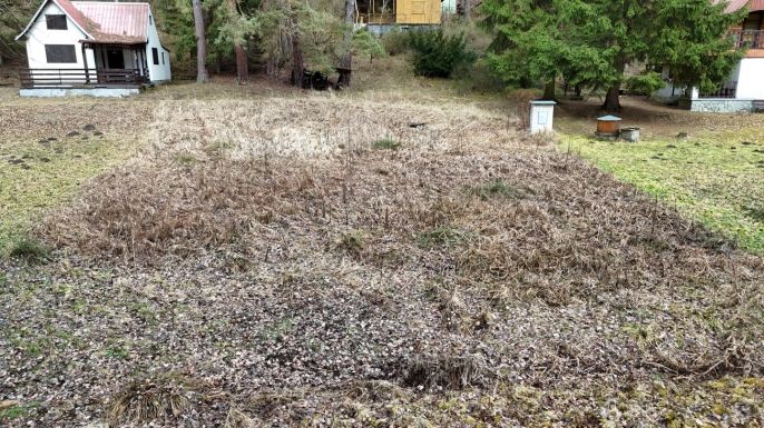 Prodej, Ostatní, Černýšovice