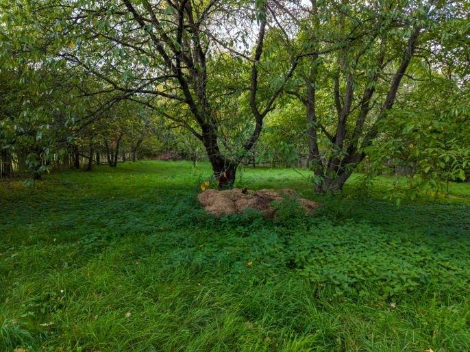 Prodej, Pozemek k bydlení, Zdechovice