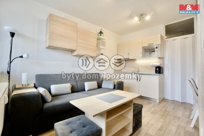 Prodej, Byt 1+kk, 20 m², Všemina