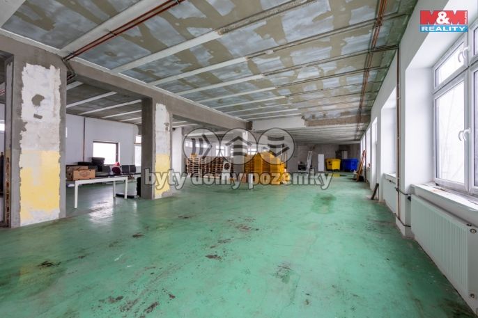 Prodej, Hotel, penzion, Rovná