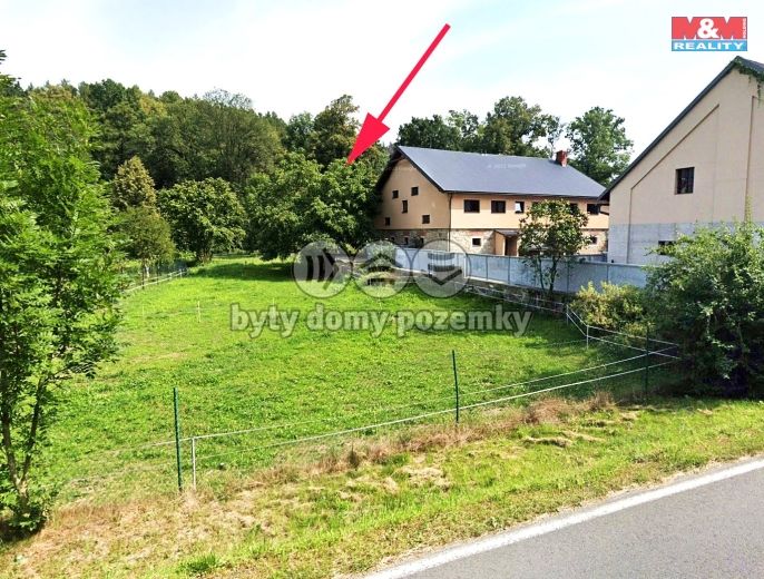 Prodej, Les, Kobylá nad Vidnavkou