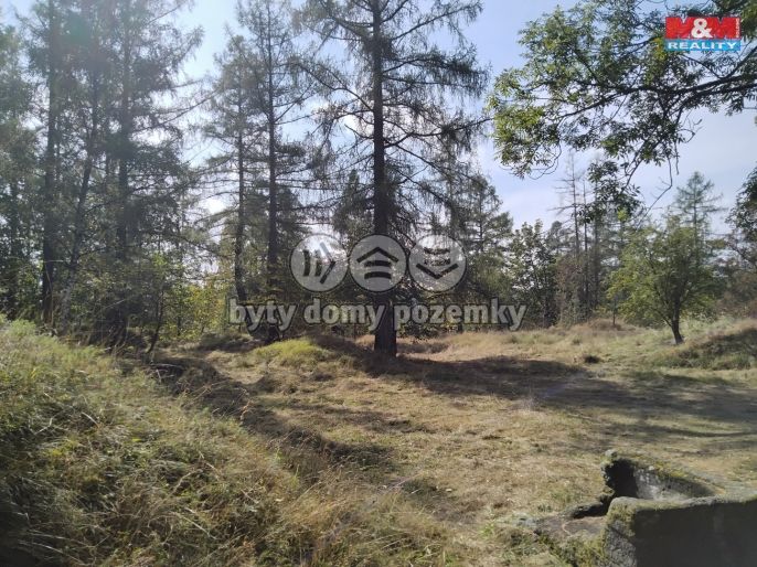 Prodej, Ostatní, Razová