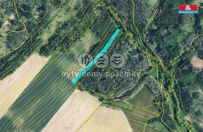 Prodej, Les, Velká Bíteš