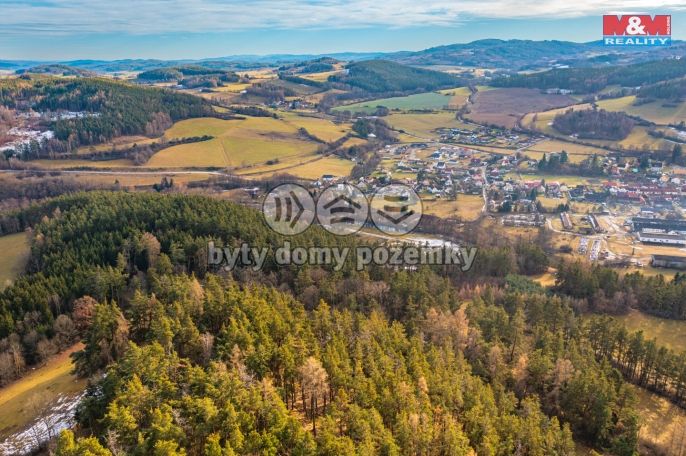 Prodej, Les, Malenice