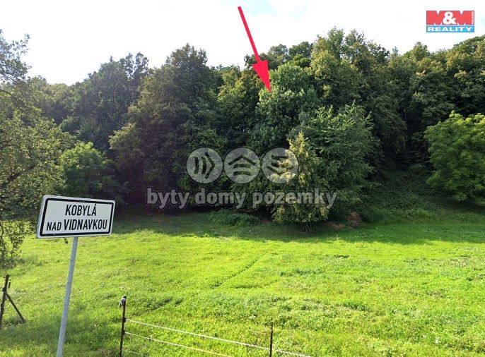 Prodej, Les, Kobylá nad Vidnavkou