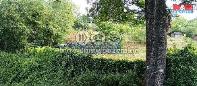 Prodej, Zahrada, Hoštka