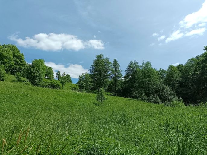 Prodej, Pozemek k bydlení, Božanov