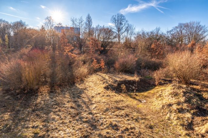 Prodej, Zahrada, Mrzky