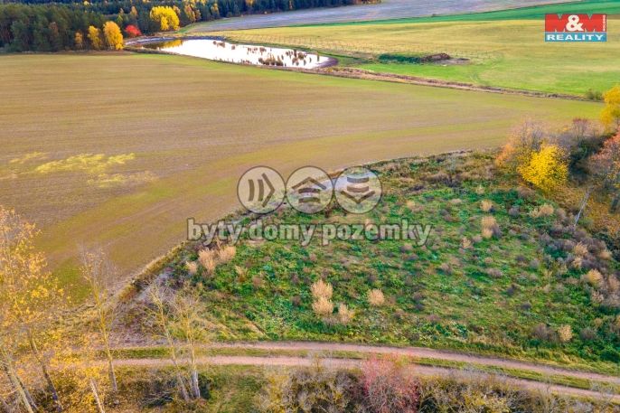 Prodej, Louka, Vysoká Libyně