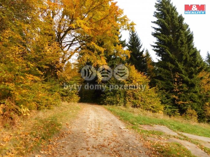 Prodej, Louka, Lučany nad Nisou