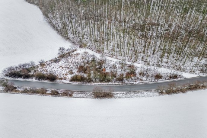 Prodej, Zahrada, Pchery