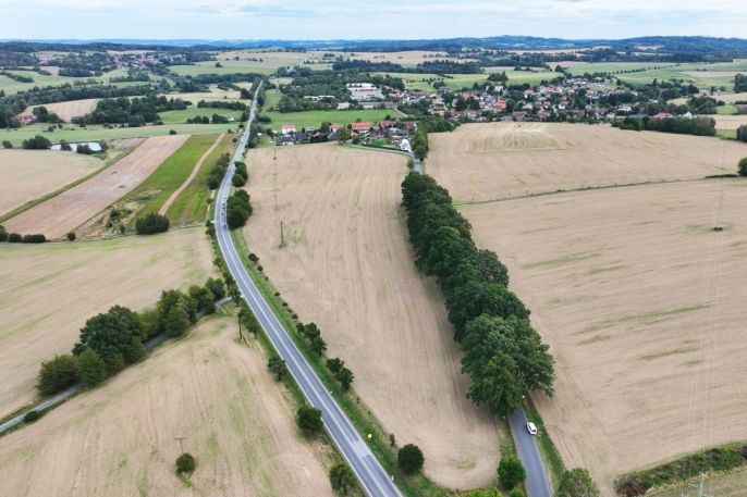 Prodej, Pole, Vyskytná