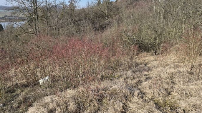 Prodej, Zahrada, Štětí