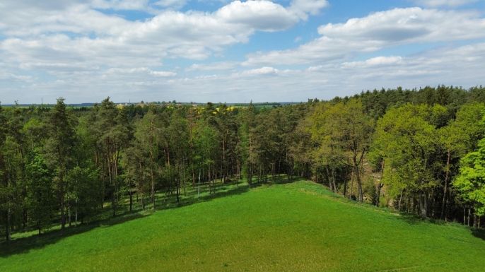 Prodej, Les, Černýšovice