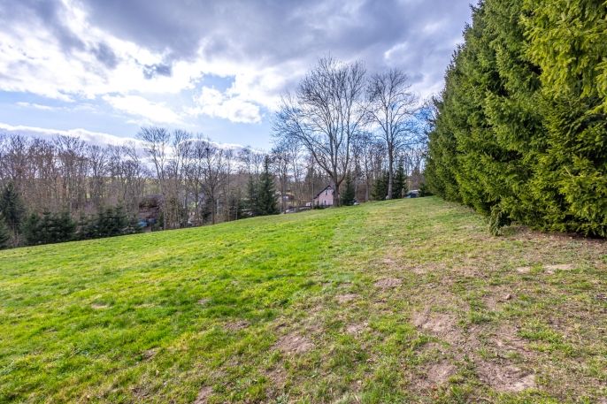 Prodej, Pozemek k bydlení, Velká Bukovina