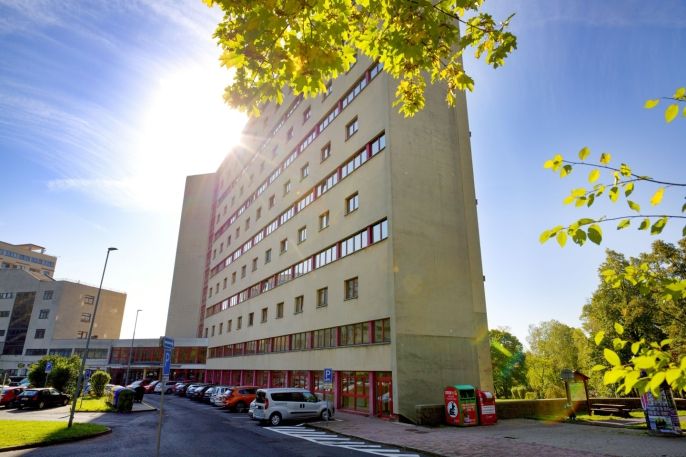 Prodej, Byt 1+kk, Litvínov