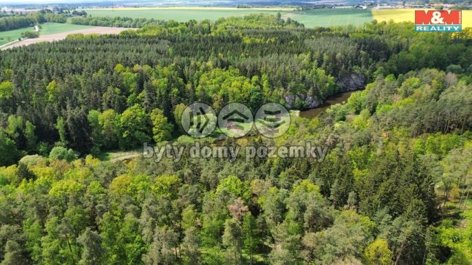 Prodej, Les, Černýšovice