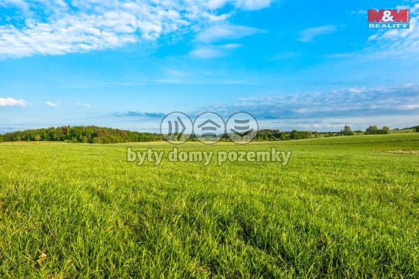 Prodej, Louka, Příbram