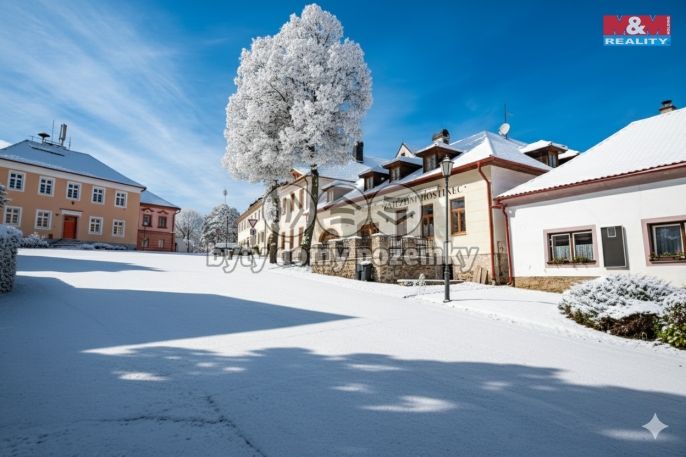 Prodej, Hotel, penzion, Přídolí