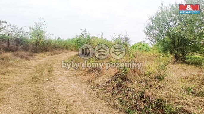 Prodej, Ostatní, Ivančice