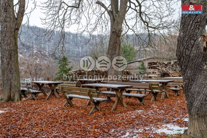 Prodej, Hotel, penzion, Podhradí nad Dyjí