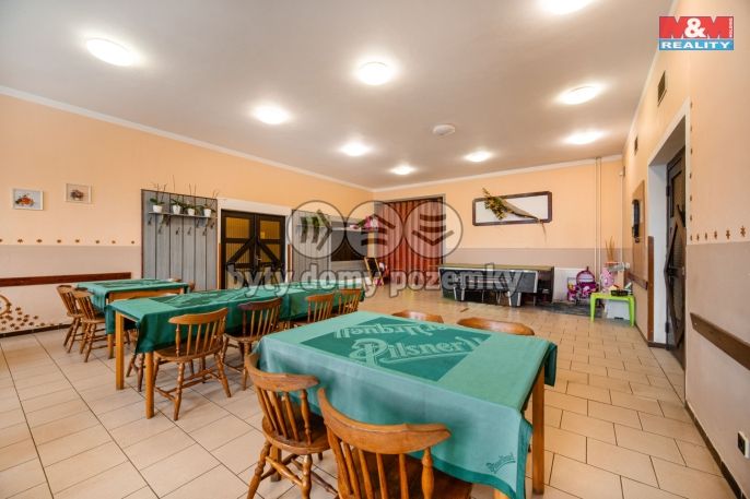 Prodej, Hotel, penzion, Stradouň