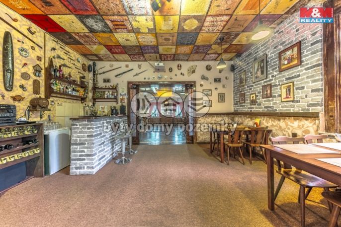 Prodej, Hotel, penzion, Krásná Lípa