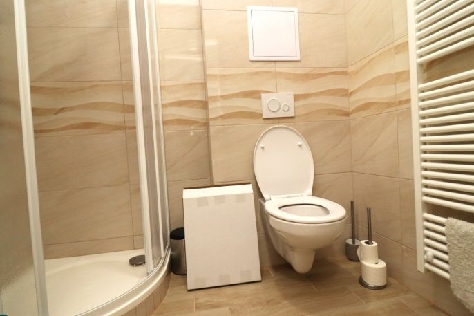 Pronájem, Byt 1+kk, Ostrov