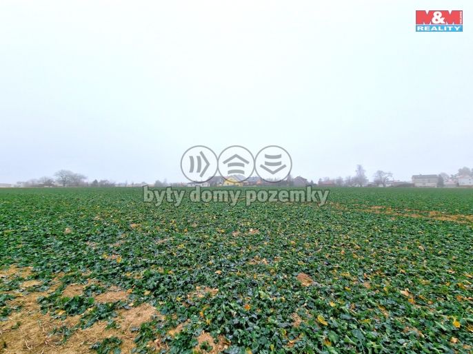 Prodej, Pozemek k bydlení, Štěpánkovice