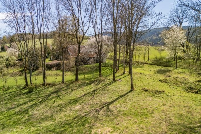 Prodej, Zahrada, Dešenice