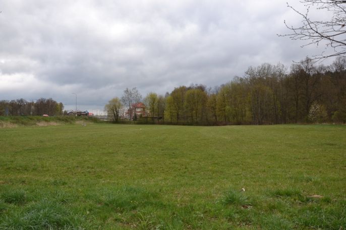 Prodej, Louka, Náchod