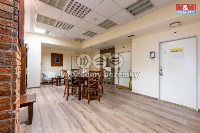Pronájem, Kancelářský prostor, Plzeň
