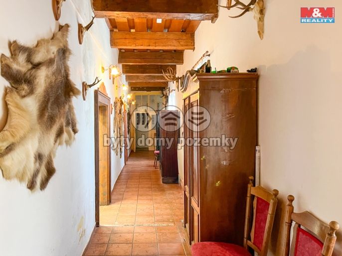 Pronájem, Restaurace, stravování, Železná Ruda