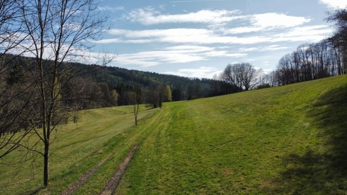 Prodej, Louka, Pastviny