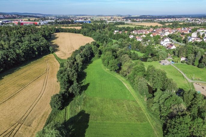 Pronájem, Louka, Plzeň