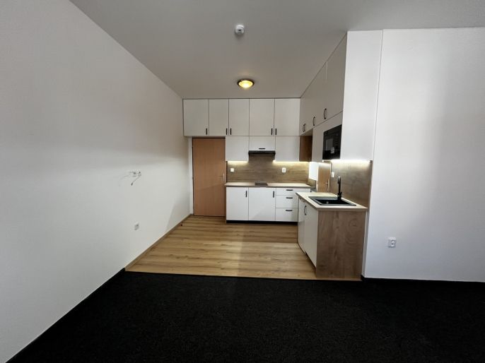 Pronájem, Byt 1+kk, Řevničov
