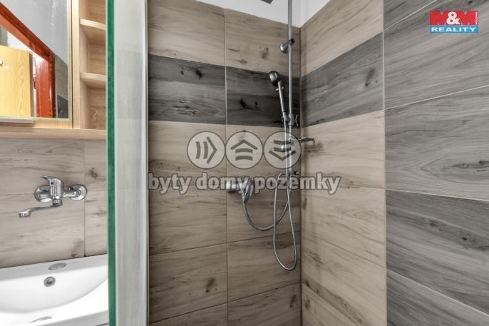 Prodej, Byt 3+1, Budčeves