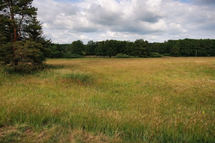 Prodej, Vodní plocha, Nový Bor