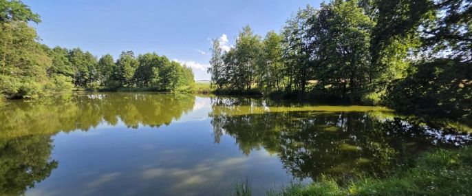 Prodej, Vodní plocha, Slezské Rudoltice