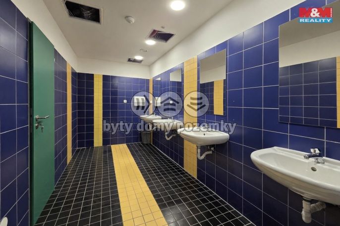 Pronájem, Kancelářský prostor, Karlovy Vary