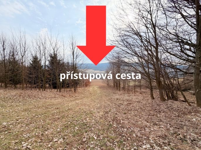 Prodej, Louka, Lichkov