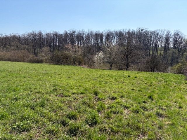 Prodej, Komerční pozemky, Stará Ves nad Ondřejnicí