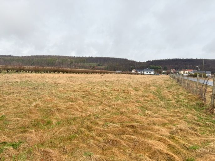 Prodej, Pozemek k bydlení, Horka I