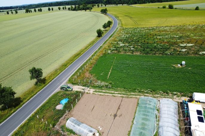 Prodej, Ovocný sad, Nové Dvory