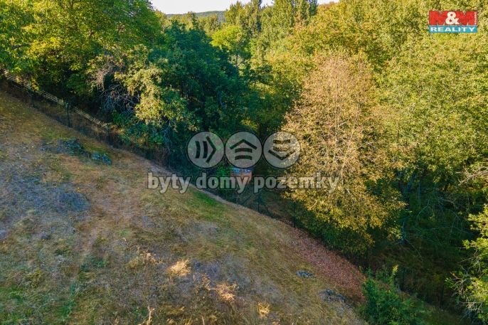 Prodej, Pozemek k bydlení, Plasy